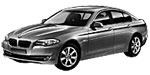 BMW F10 P1D99 Fault Code
