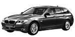 BMW F11 P1D99 Fault Code